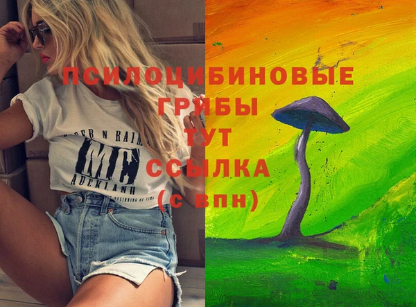 скорость Богданович